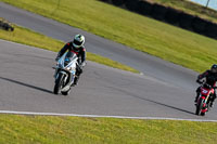 PJ-Motorsport-2019;anglesey-no-limits-trackday;anglesey-photographs;anglesey-trackday-photographs;enduro-digital-images;event-digital-images;eventdigitalimages;no-limits-trackdays;peter-wileman-photography;racing-digital-images;trac-mon;trackday-digital-images;trackday-photos;ty-croes